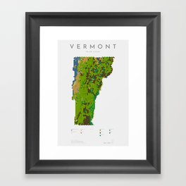 Vermont Land Cover Map Art Framed Art Print