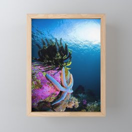 porcupine fish Framed Mini Art Print