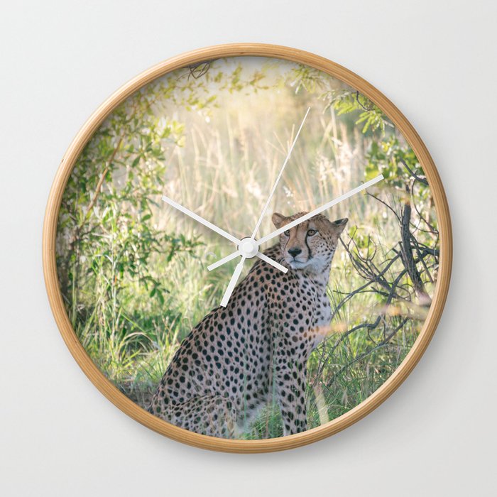 Cheetah wildlife | Travel Photography | South Africa Wall Clock