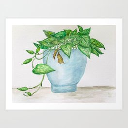 Pothos Plant Art Print