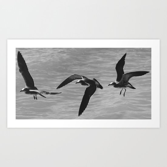 Flight Transitions Art Print