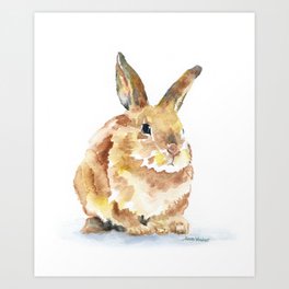 Bunny Rabbit Watercolor Painting - Woodland Animal Art Art Print