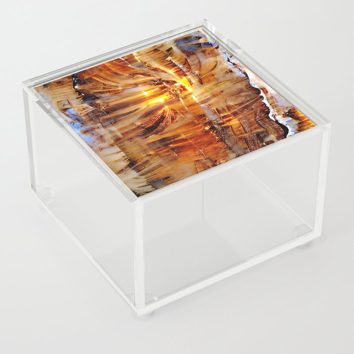 Petrified Wood Abstract Aesthetic No6 Acrylic Box
