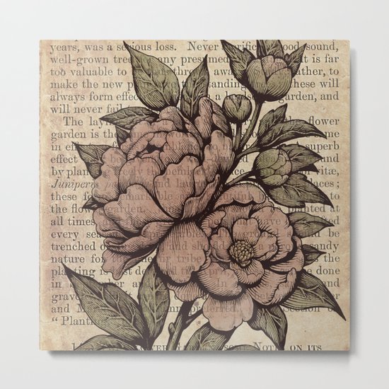 Peonies - Color Metal Print