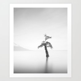 Atmospheric beautiful flowering tree growing out of the water nature black and white photograph  Art Print