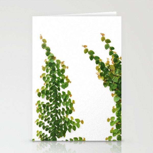 Ficus Pumila  Stationery Cards