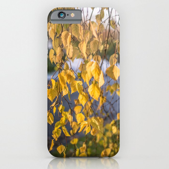 Birch leaf iPhone Case