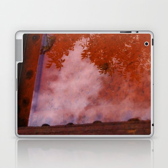 Reflection Pool Laptop & iPad Skin