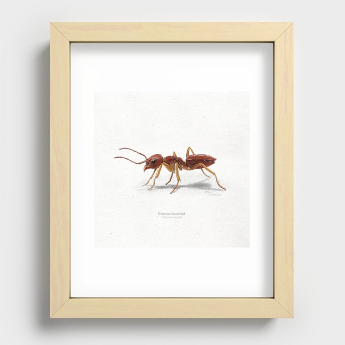 Recessed Framed Print