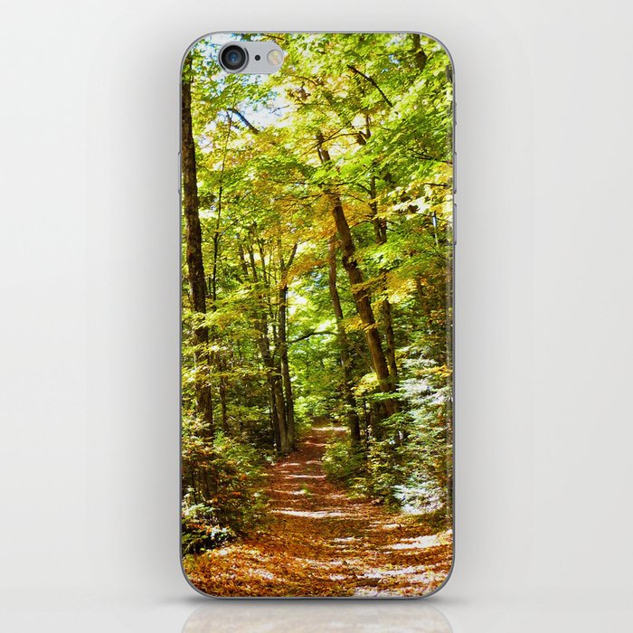 Sunlit Forest in Autumn iPhone Skin