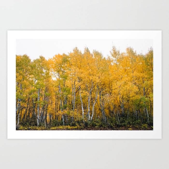 Fall Color in the Sierras Art Print