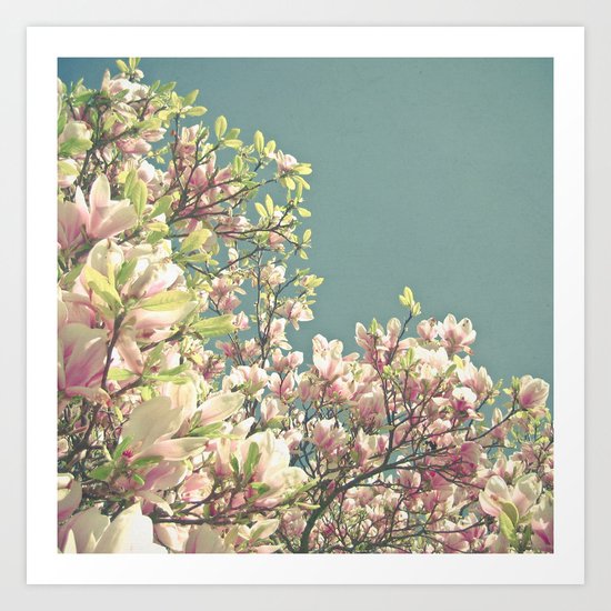 Magnolia in Bloom Art Print