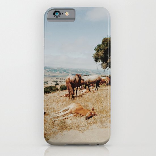 Nap Time iPhone & iPod Case