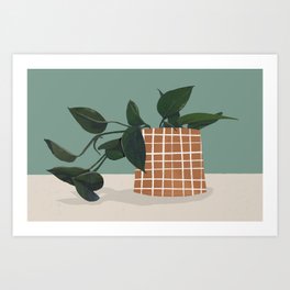 Potted Pothos Plant Art Print