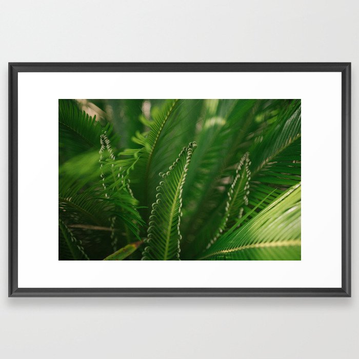 fern composition no. 1 Framed Art Print