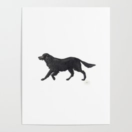 Black Dog of WL Poster