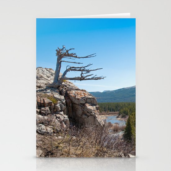 Windswept tree Stationery Cards