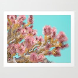 Pink Cactus - Joshua Tree Nature Photography Art Print