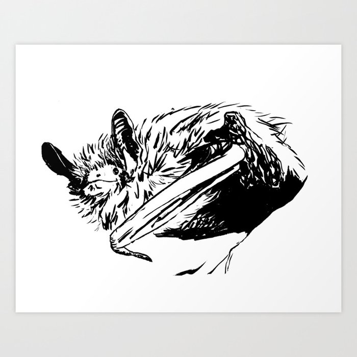 Wise Bat (Ola) Art Print