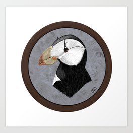 Horned puffin portrait Art Print