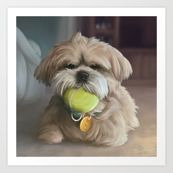 Lhasa Apso Art Print