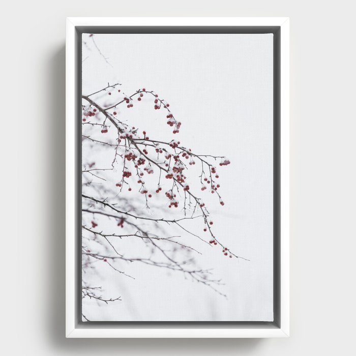 Winter Branches - Nature Photography Framed Canvas