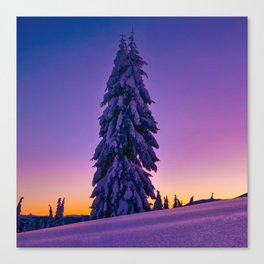 Purple winter tree Canvas Print