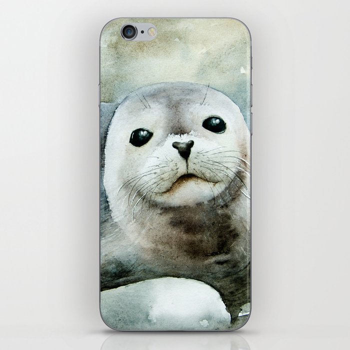 Curious seal on the pebbles iPhone Skin