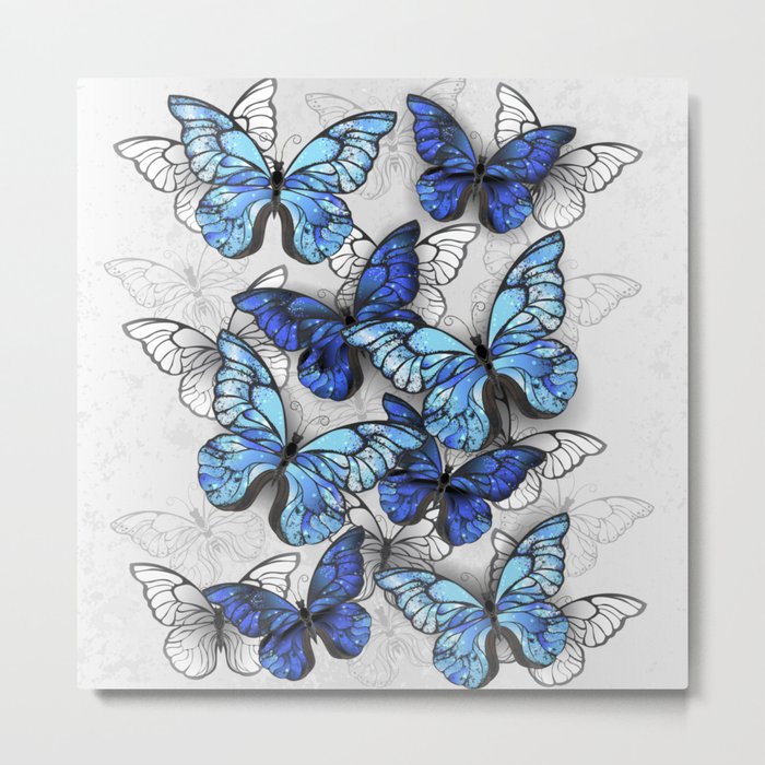Composition of White and Blue Butterflies Metal Print