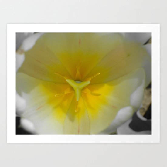 A Closer Look Art Print