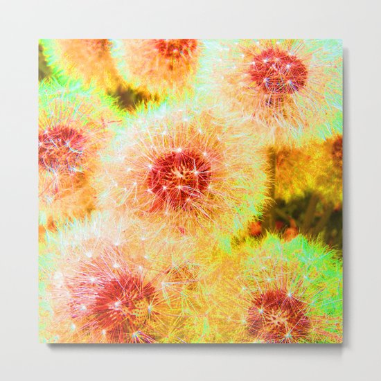 dandelions abstract IX Metal Print