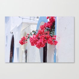 Pink On White Canvas Print