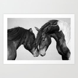 Horses - Black & White 4 Art Print