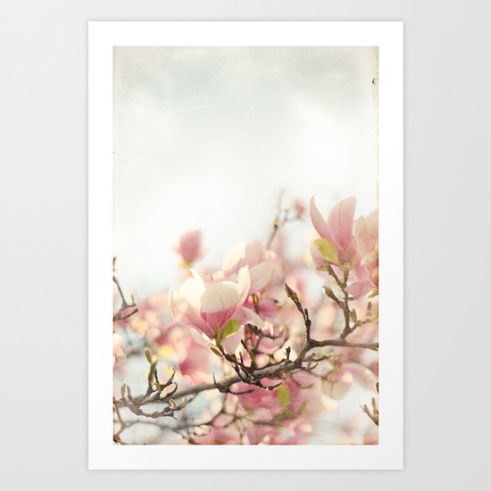 Blooming Magnolia Art Print