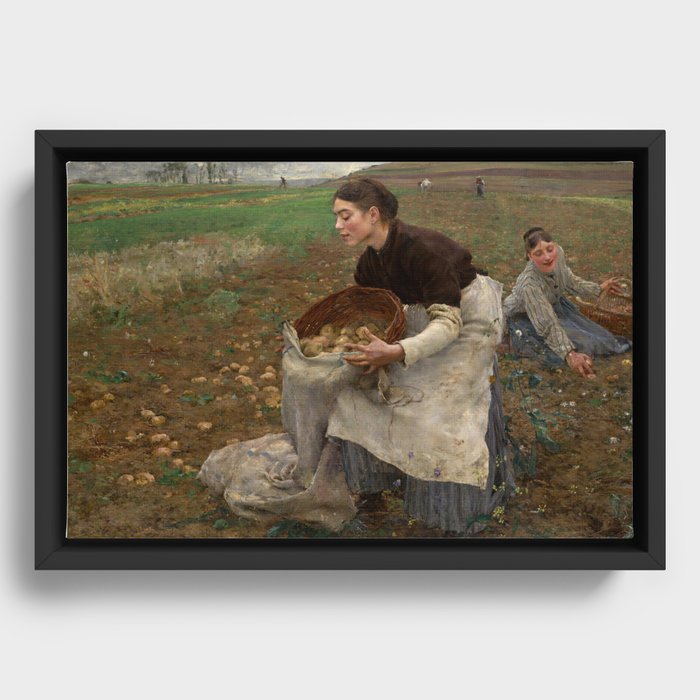 Framed Canvas
