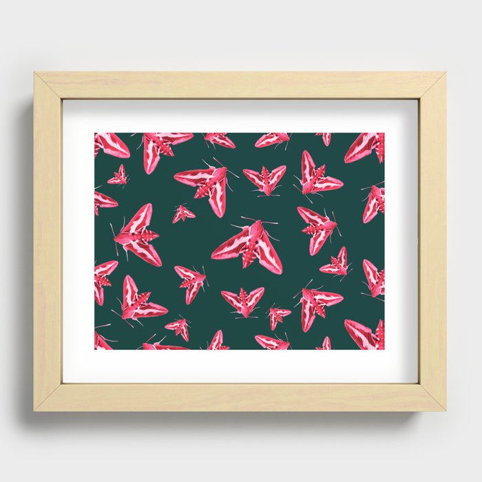Moths and all Recessed Framed Print