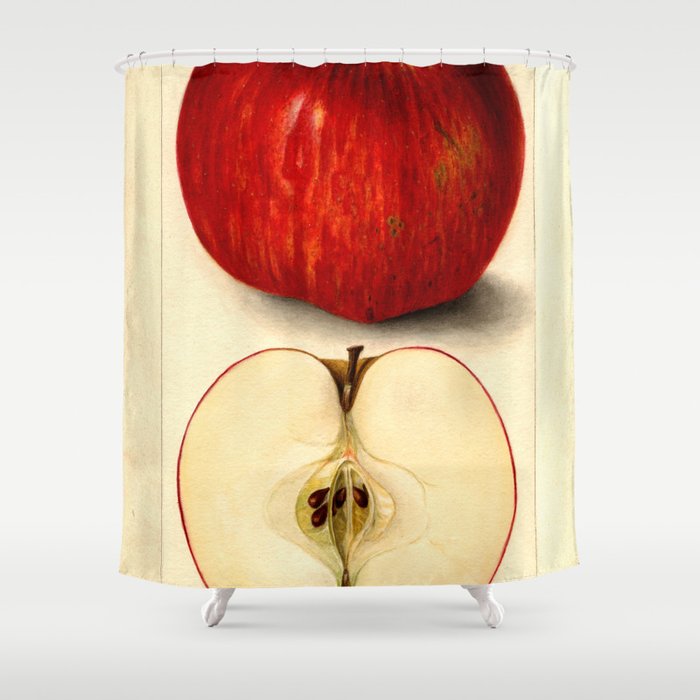 Vintage Botanical Apple Shower Curtain