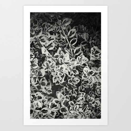 Six Feet Under II Art Print