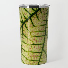 Beautiful nature art green tree summer season colour background. Nature design wall art Travel Mug