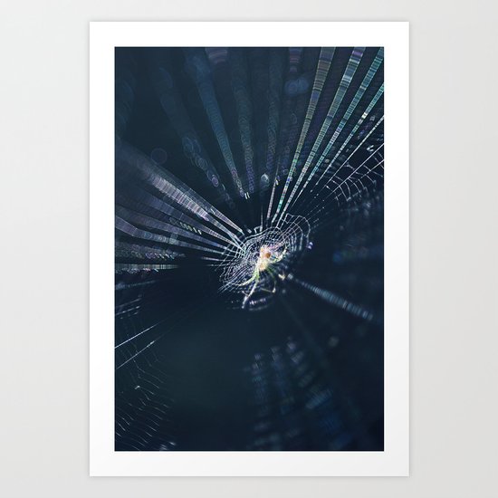 Spiderweb Art Print