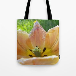 Tulip Sunrise #2 Tote Bag