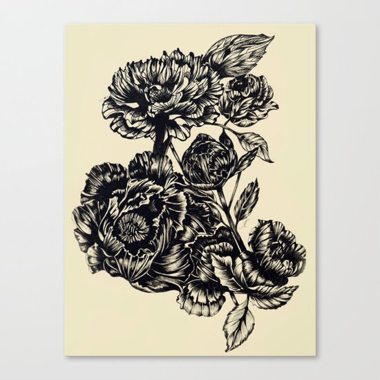 Peonies, black & white Canvas Print