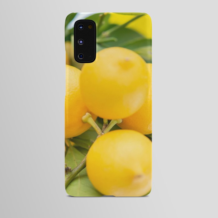 Fresh Summer Lemons Android Case