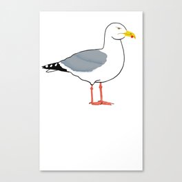 Angry Seagull Canvas Print
