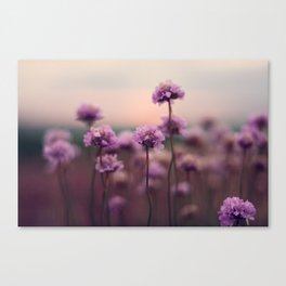 purple Canvas Print