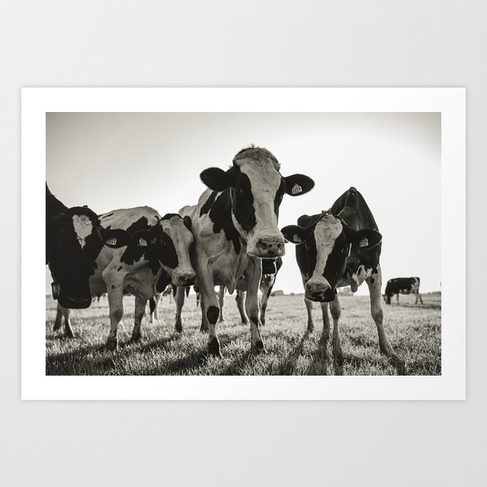 Zwaaien nood Bomen planten Cow boyband formation | Dutch Glory photography | Netherlands | Black and  white Art Print by Kelly Kwakkel _ Stay at home travel phot | Society6
