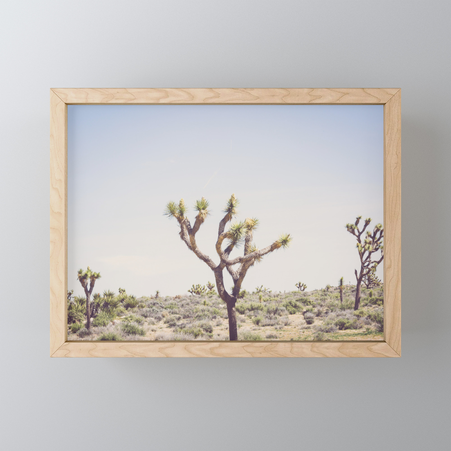 Joshua Tree Framed Mini Art Print By Annbphoto Society6