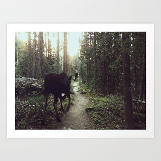 Trail Moose Art Print