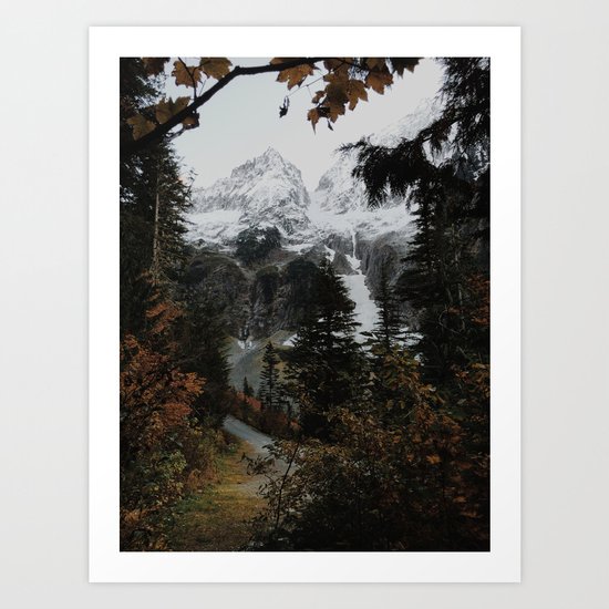 Cascade River Rd Art Print