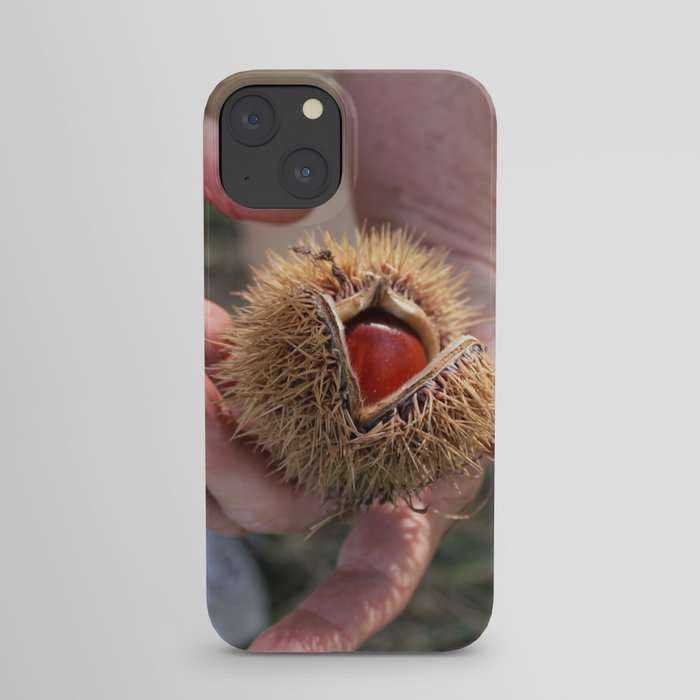 Fresh Chestnut iPhone Case
